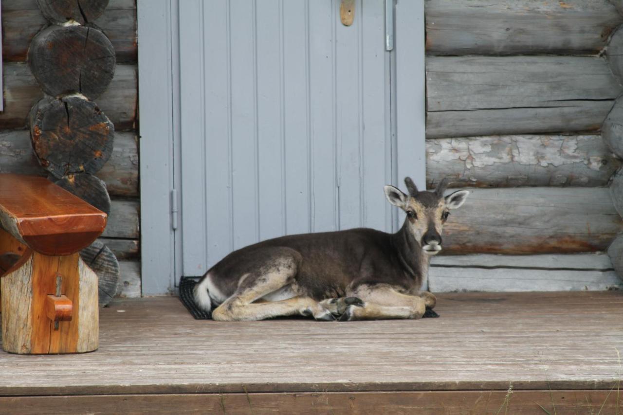 Rukatupa Chalet *
